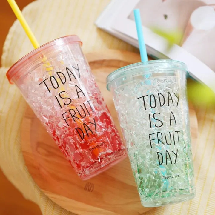 Acrylic Double Wall Ice Cup with Straw 450ML