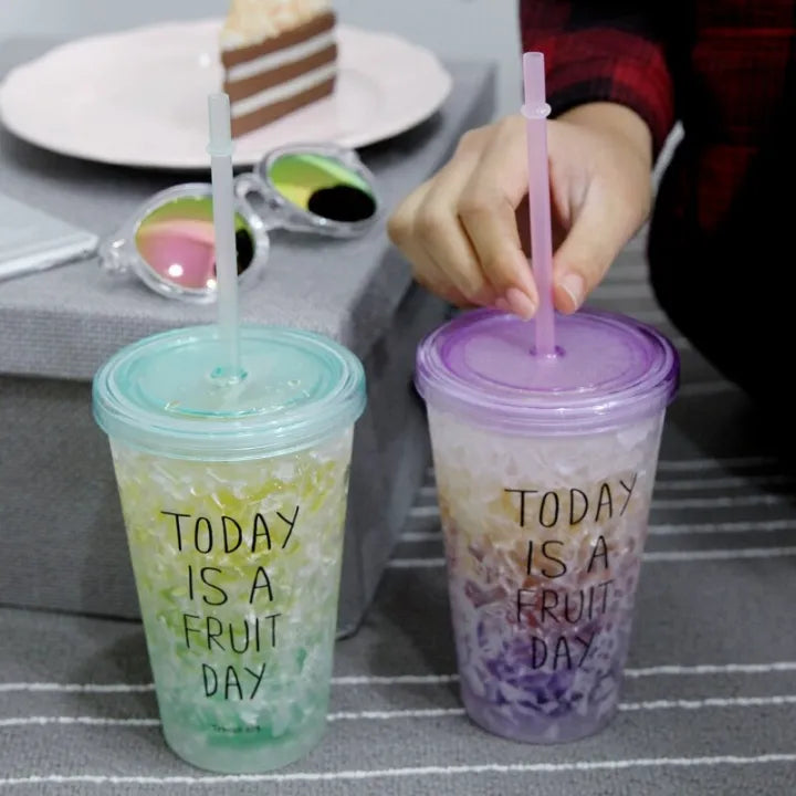 Acrylic Double Wall Ice Cup with Straw 450ML