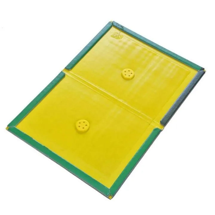 Expert Mouse & Rat Glue Trap Catcher