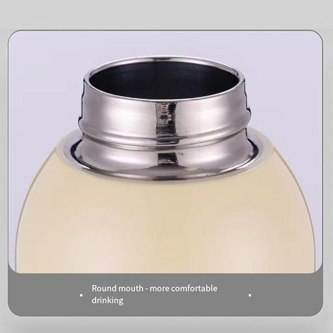 350ml Stainless Steel Insulated Water Bottle