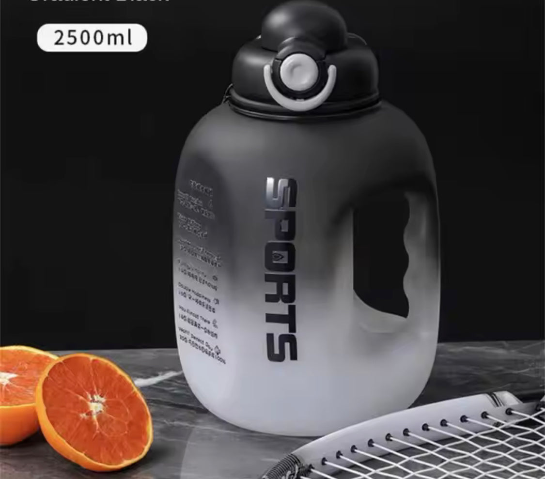 Gradient Portable Sports Water Bottle