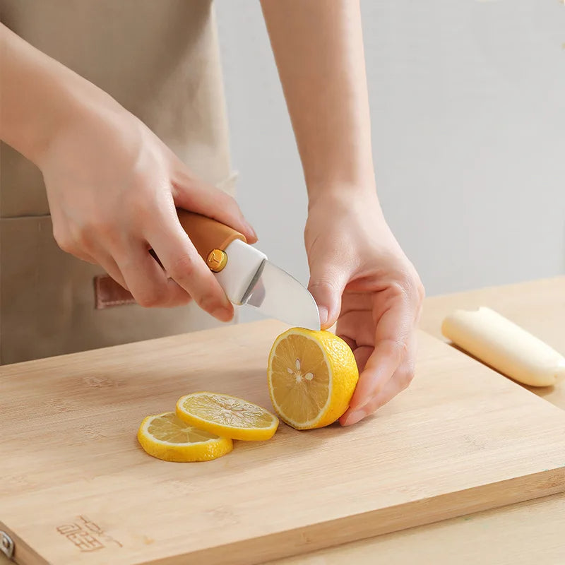 2-in-1 Stainless Steel Fruit Knife & Peeler