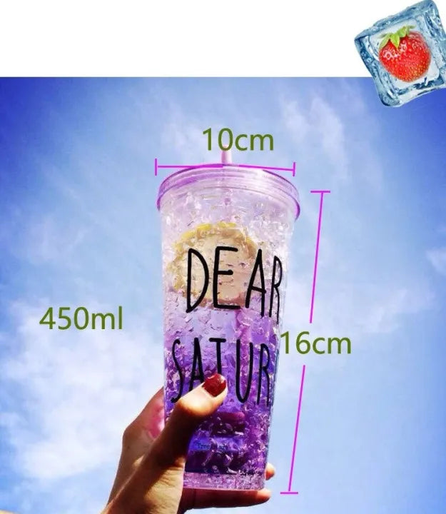 Acrylic Double Wall Ice Cup with Straw 450ML
