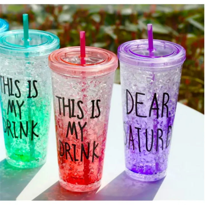 Acrylic Double Wall Ice Cup with Straw 450ML