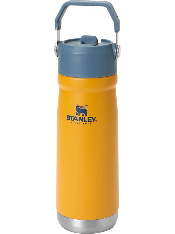 Stanley 650ml Stainless Steel Straw Cup Water Bottle Portable