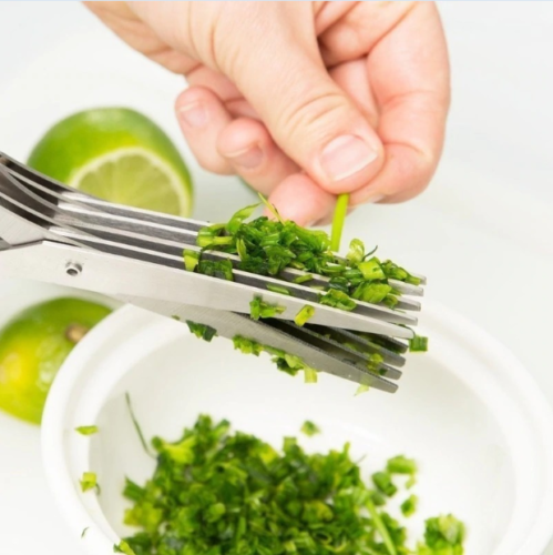 5-Layer Stainless Steel Herb & Vegetable Scissors