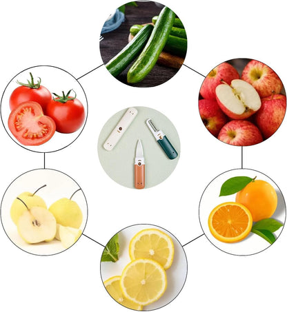 2-in-1 Stainless Steel Fruit Knife & Peeler