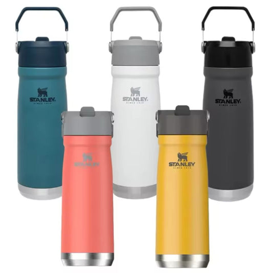 Stanley 650ml Stainless Steel Straw Cup Water Bottle Portable
