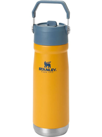 Stanley 650ml Stainless Steel Straw Cup Water Bottle Portable