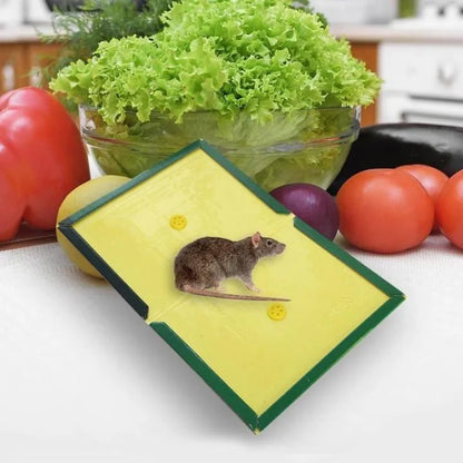 Expert Mouse & Rat Glue Trap Catcher