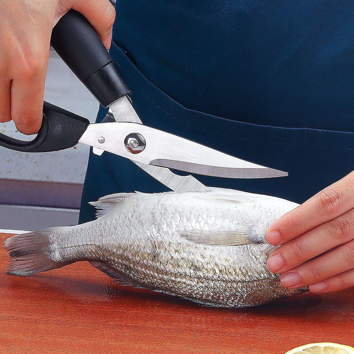 Stainless Steel Fish and Meat Kitchen Scissors