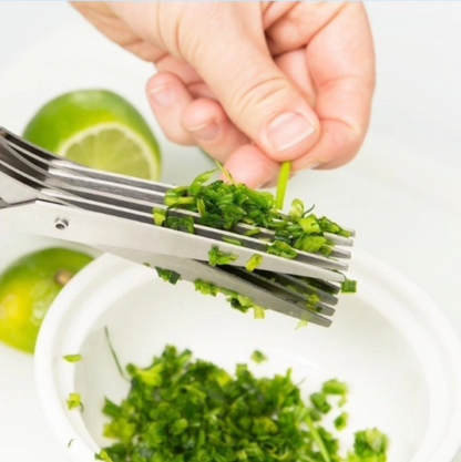 5-Layer Stainless Steel Herb & Vegetable Scissors